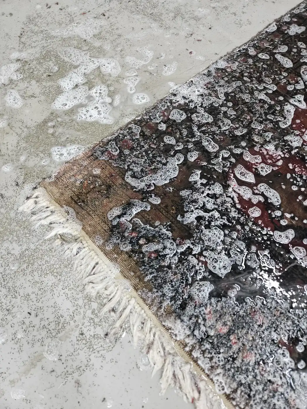 Heavily soiled, mildewed corner of a rug before any treatment