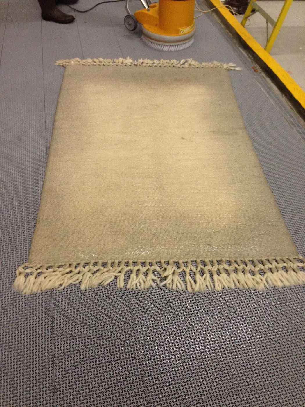 Soiled area rug photographed at intake before any pet-odor treatment